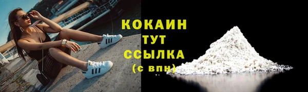 спиды Алзамай